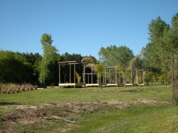 Urbanización Verdemora, barrio privado, Punta Ballena